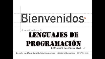 Lenguajes de programación - Estructura de control Switch (Javascript)