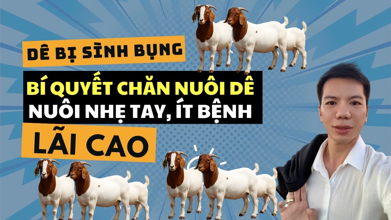 Chia Sẻ Kinh Nghiệm Chọn Giống Dê Chuẩn Nuôi Nhẹ Tay Ít Bệnh Tật