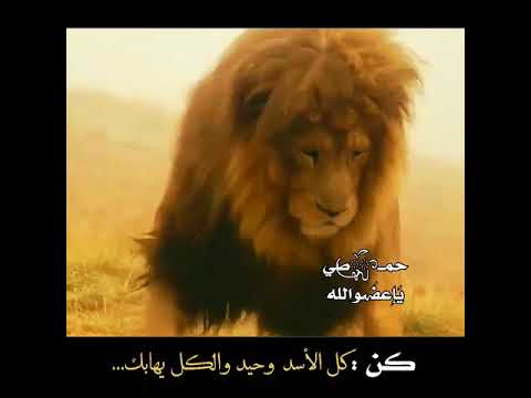 هبية الأسد شجاعة