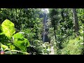 Peaceful & Calming Natural Music Sounds of Waterfall River Relax, Meditation - Tropical Rainforest