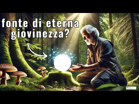 Video: 18 modi per migliorare la tua salute