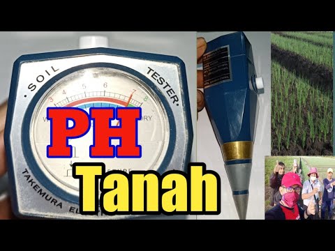 Video: Berapa pH tanah gurun?