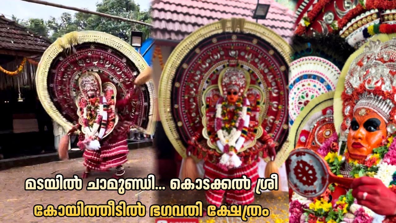 മടയിൽ ചാമുണ്ഡി🙏❤️... കൊടക്കൽ ശ്രീ കോയിത്തീടിൽ ഭഗവതി ക്ഷേത്രം #theyyamkasargod #longvideo #theyyam