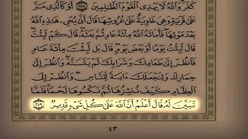القارئ سعد التوم تلاوة تشرح الصدر عشاء 1435/5/25 هـ