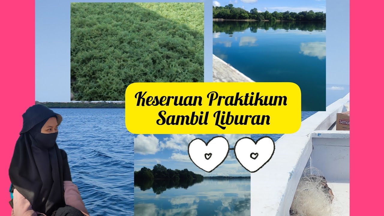 Liburannya anak perikanan(Budidaya Rumput Laut) 