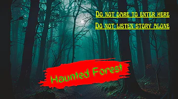 Dark Forest : Exploring the Dark Tale of the Haunted Forest | Horror/Haunted | Shadow Whispers