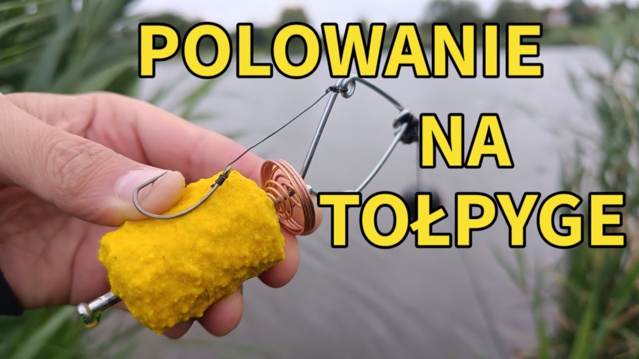 Jak złowić Tołpygi ?