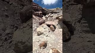 Such a beautiful place I am walking in the Morrison formation, which is when dinosaurs were around.￼