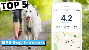 5 Best GPS Dog Tracker 2023 | Real Time Tracking of Pets