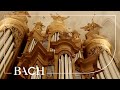 Bach - Ich ruf zu dir, Herr Jesu Christ BWV 639 | Netherlands Bach Society