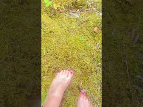 Soft moss foot ASMR. #feetcommunity #satisfaction