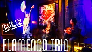 Flamenco Trio @ Artango Chicago (David Chiriboga, Leticia Aravena, Patricia Ortega)