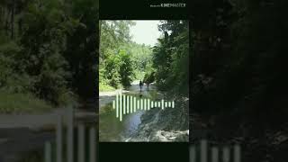 Dewa19bayangbayang karaoke