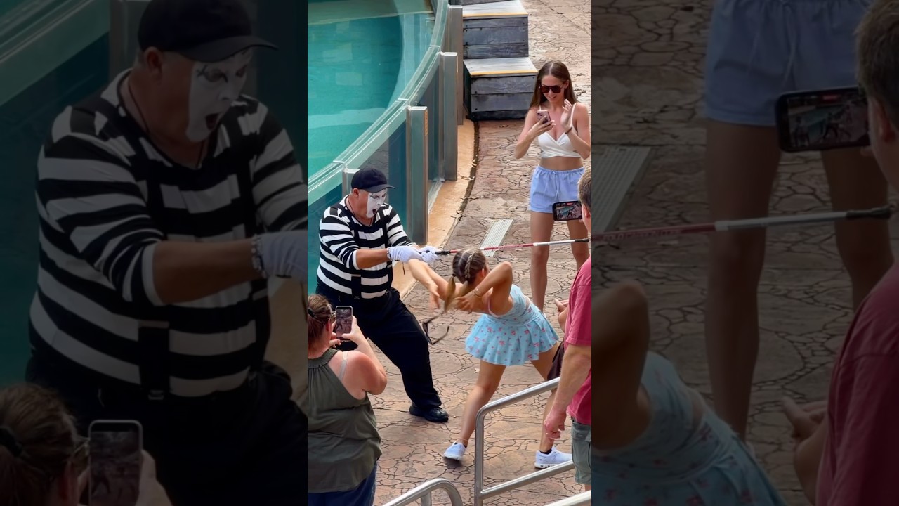 Tom the mime comedy compilation #seaworldmime #tomthemime #funnyvideos #shorts