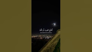 أفرأيت الذي كفر بآياتنا |  سوره مريم القــــــآرئ عبدالرحمن مسعد💙.
