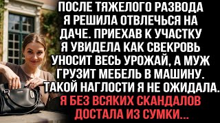 После развода приехала на дачу, а свекровь грабит урожай, муж вывозит мебель. Достала из сумки...