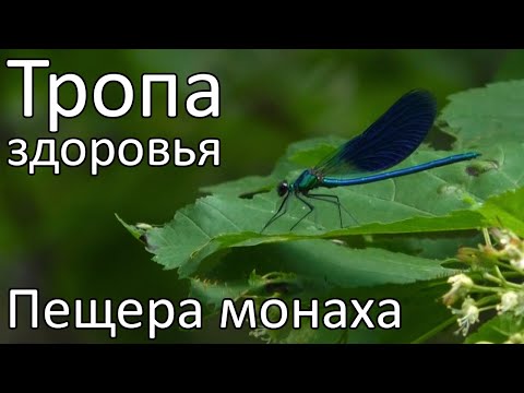 Экологическая тропа здоровья — Пещера монаха. Движение, ходьба. г. Хвалынск.