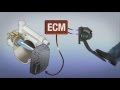 Lexus Electronic Throttle Control System