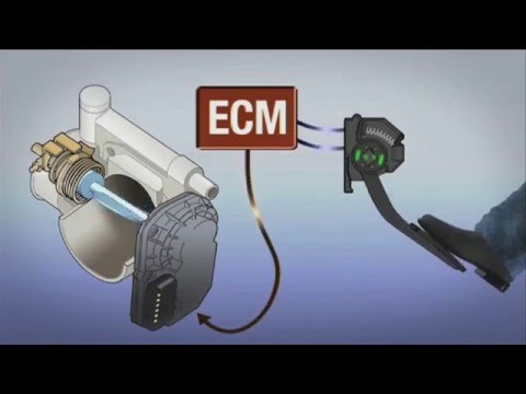Lexus Electronic Throttle Control System