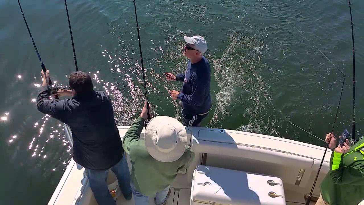 Opening Day Rockfish Season 2016 YouTube
