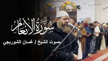 تلاوة ممتعة من سورة الأنعام | صلاة تروايح رمضان 1446 مع دعاء الوتر | الشيخ غسان الشوربجي