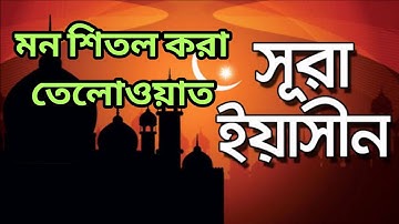 সূরা ইয়াসিন ( سورة يس‎) - অত্যন্ত দরদী তেলাওয়াত ।