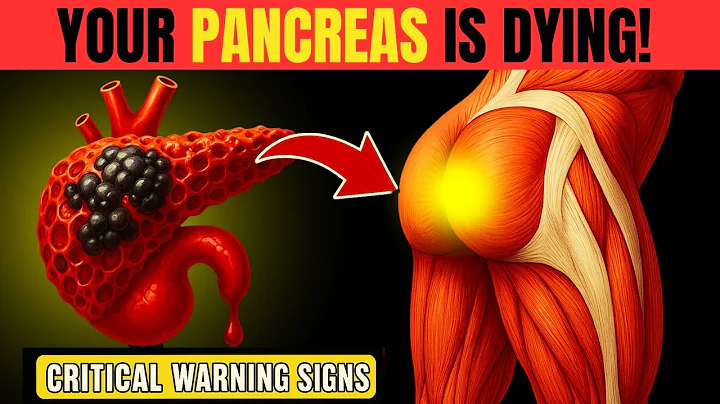 8 Symptoms of PANCREATIC CANCER That Will SHOCK YOU | Critical Warning Signs| Senior Health