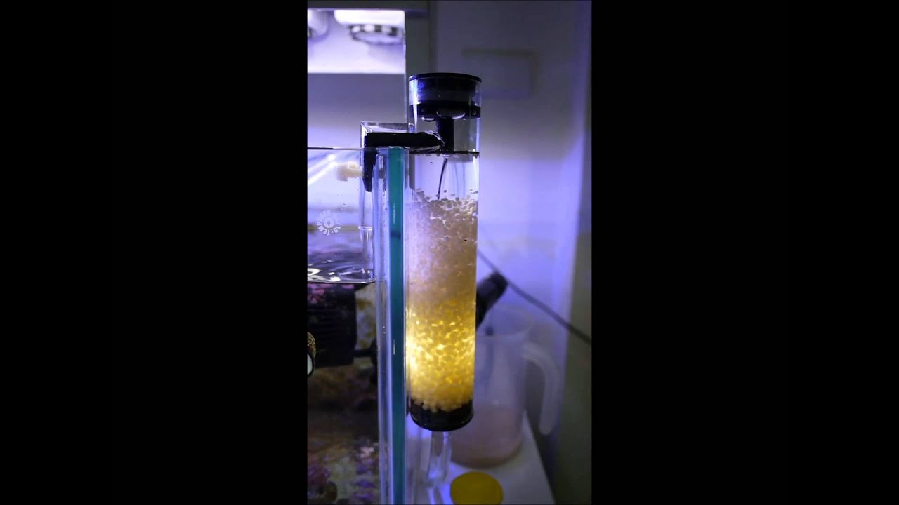 外掛豆豆桶 Youtube