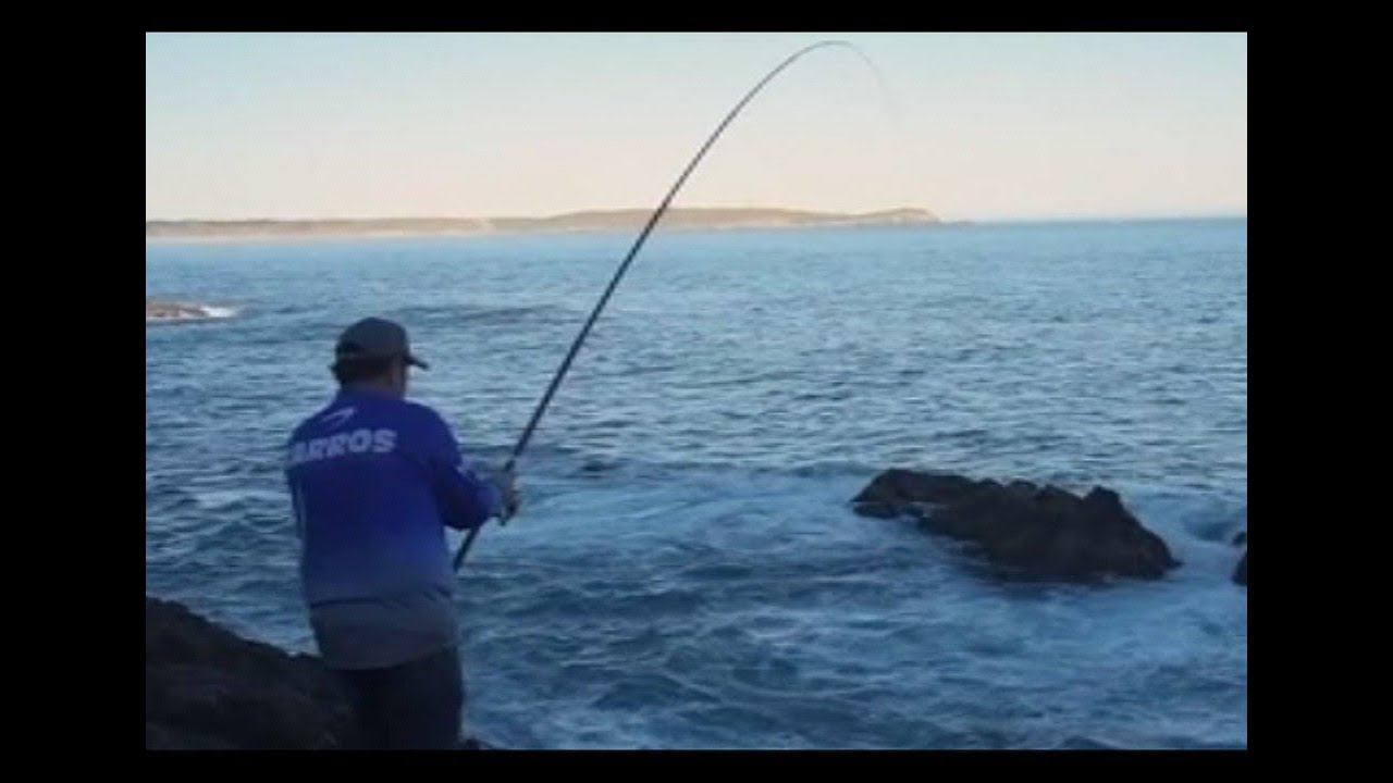 los Sargos de Galicia com Sérgio Tente audio em Português