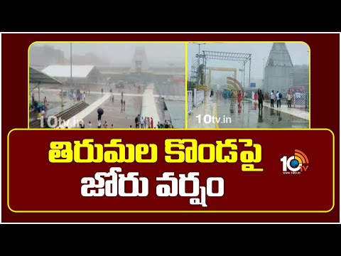 తిరుమల కొండపై జోరు వర్షం | Heavy Rain in Tirumala Tirupati | 10TV News - 10TVNEWSTELUGU