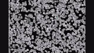 Ginnungagap (The Yawning Void)   Nigel Pennick 2014