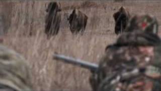 Backland 2009 Trailer