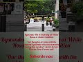 Bystander Hit in Shooting at White House in Stable Condition #usanewsexpress #usatoday #unitedstates