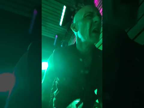 Koffin Kats - Chaos