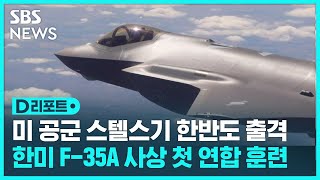 미 공군 최고 전력 F-35A 스텔스기 5년 만의 한반도 출격…한미 F-35A 사상 첫 연합 훈련 / SBS / #D리포트