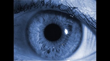 Uplink (2001) - Full Playthrough No Commentary - Part 1