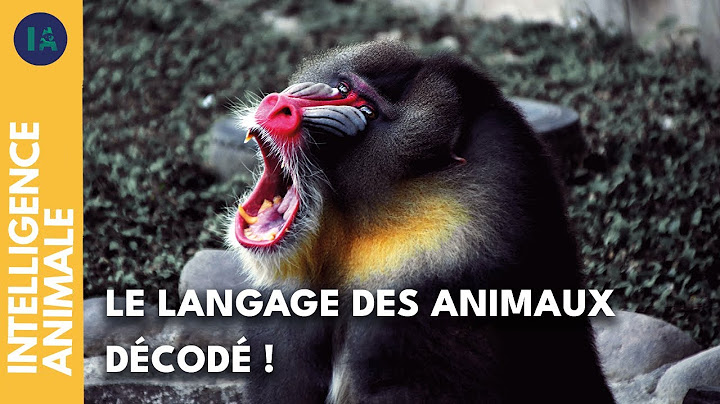 Comment les animaux communiquent ? I IA