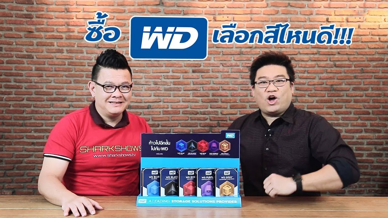 ซื้อฮาร์ดดิส WD เลือกสีไหนดี!!