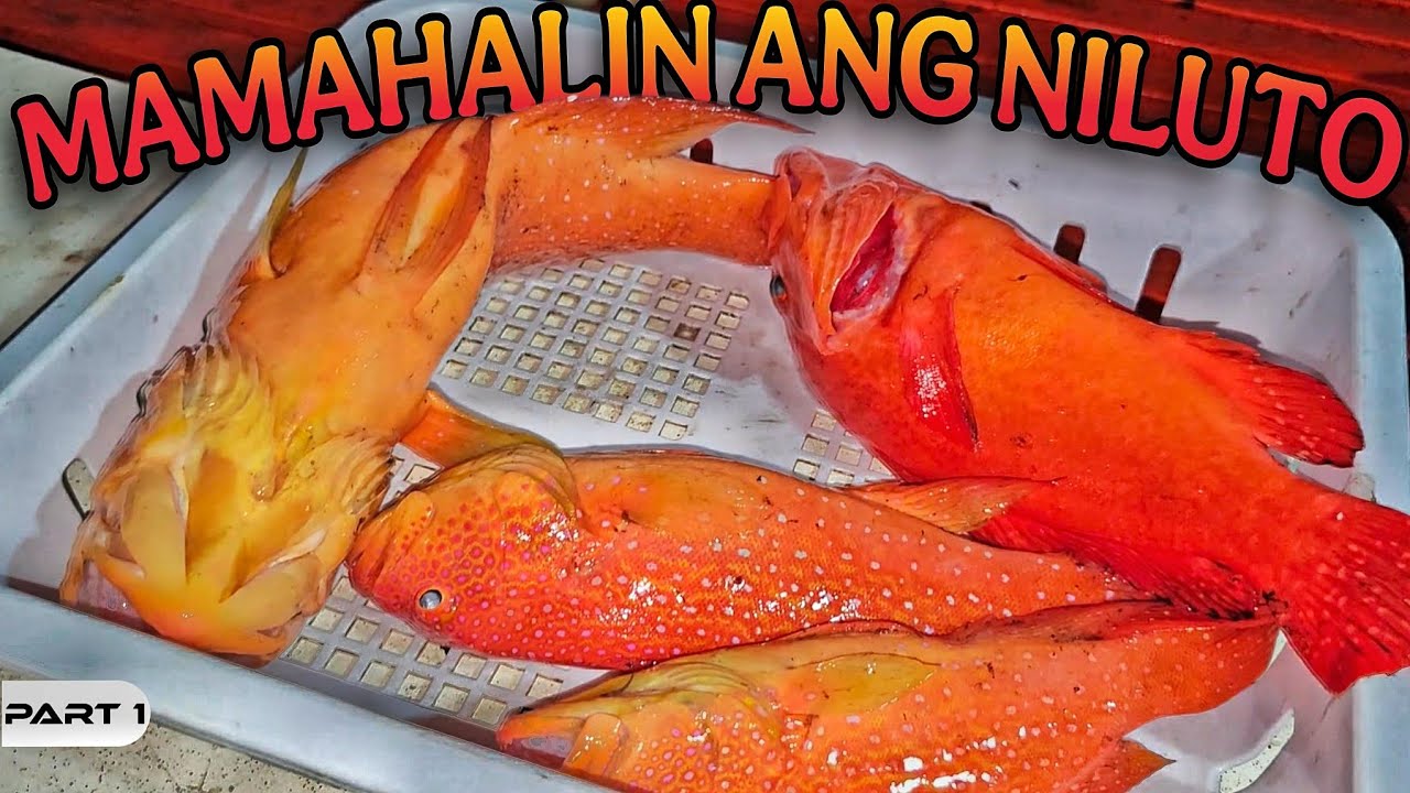P1 - Nagluto ng Mamahaling Isda sa Laot