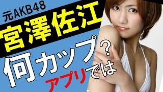 宮澤佐江のカップ数をアプリで測定したら？スリーサイズ暴露？