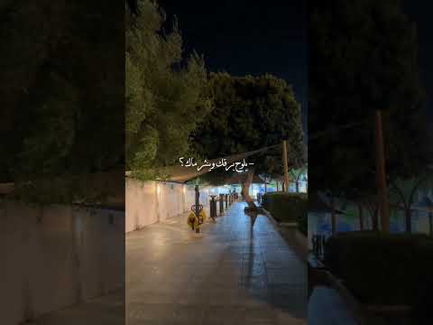 صوت المطر عود بذكراك