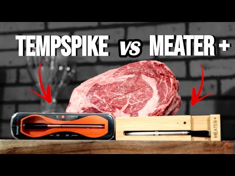 Which One is BETTER? Comparing the TempSpike and The MEATER +