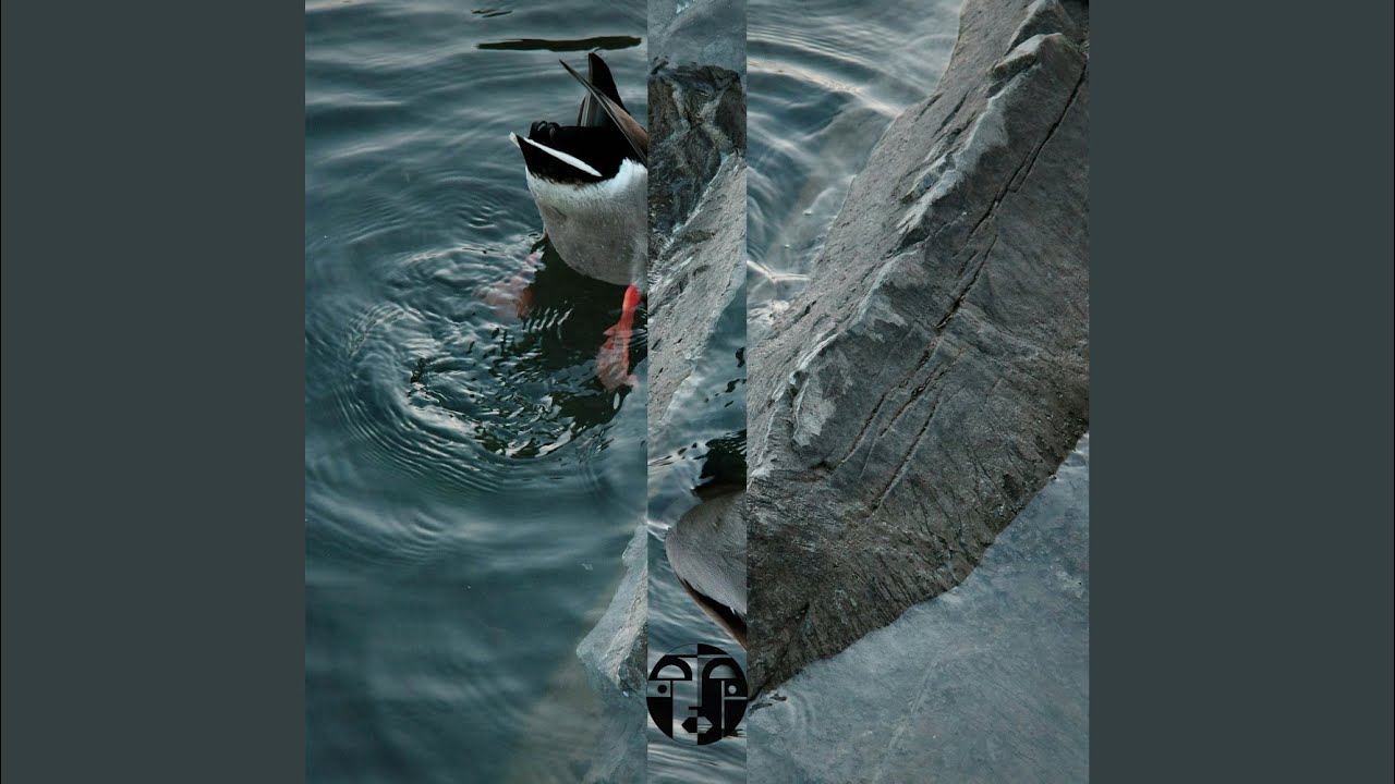 Смотреть «Do Something» на YouTube Смотреть «Do Something» на YouTube