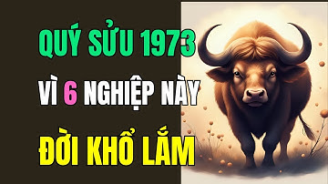 Tuổi Quý Sửu 1973, Trời cao Chỉ rõ, Vì 6 Nghiệp này, Chỉ cần Buông bỏ được, Từ nay cuộc đời Hết Khổ,