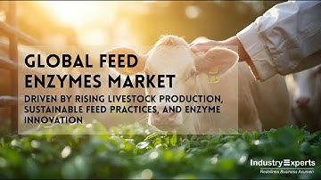 Global Feed Enzymes Market - Product Types, Sources, Livestock and Forms by Industry Experts, Inc.