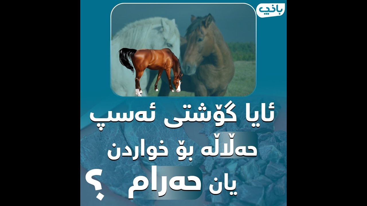 ئایا گۆشتی ئەسپ حەڵاڵە بۆ خواردن یان حەرام؟