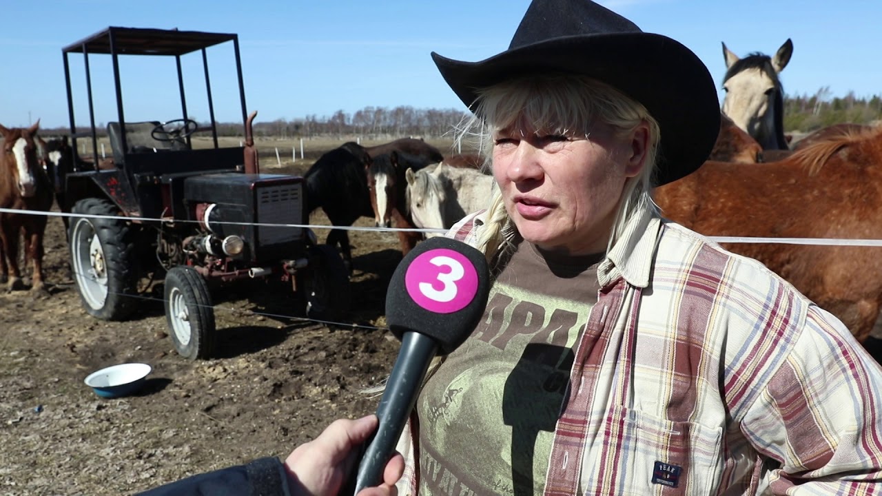 Ranna rantšo on kodutute farmiloomade varjupaik