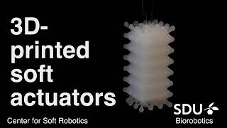 Center For Soft Robotics At Sdu Biorobotics