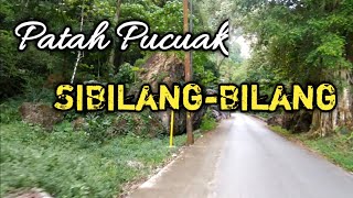 PATAH PUCUAK SIBILANG-BILANG