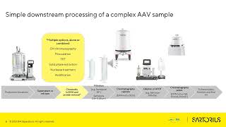 Fast chromatography of AAV – purification and analytics